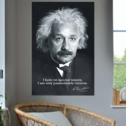 Albert Einstein Poster I Have no Special Talents..