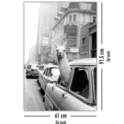 A Llama in Times Square Poster