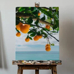 Amalfi Coast Oranges IV