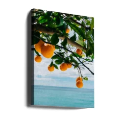 Amalfi Coast Oranges IV