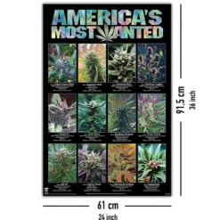 America's Most Wanted Poster Marihuana Sorten