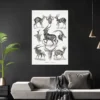 Antilopen Poster Ernst Haeckel Kunstformen der Natur