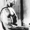 Arnold Schwarzenegger Poster