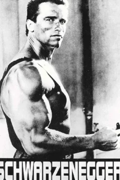 Arnold Schwarzenegger Poster