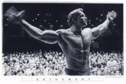 Arnold Schwarzenegger Poster Enjoyment