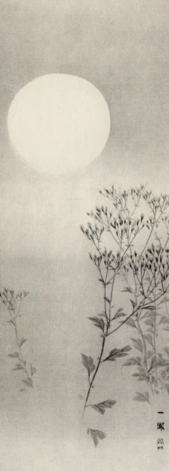 Autumn Grasses Under The Moon Kunstdruck Mori Ippo