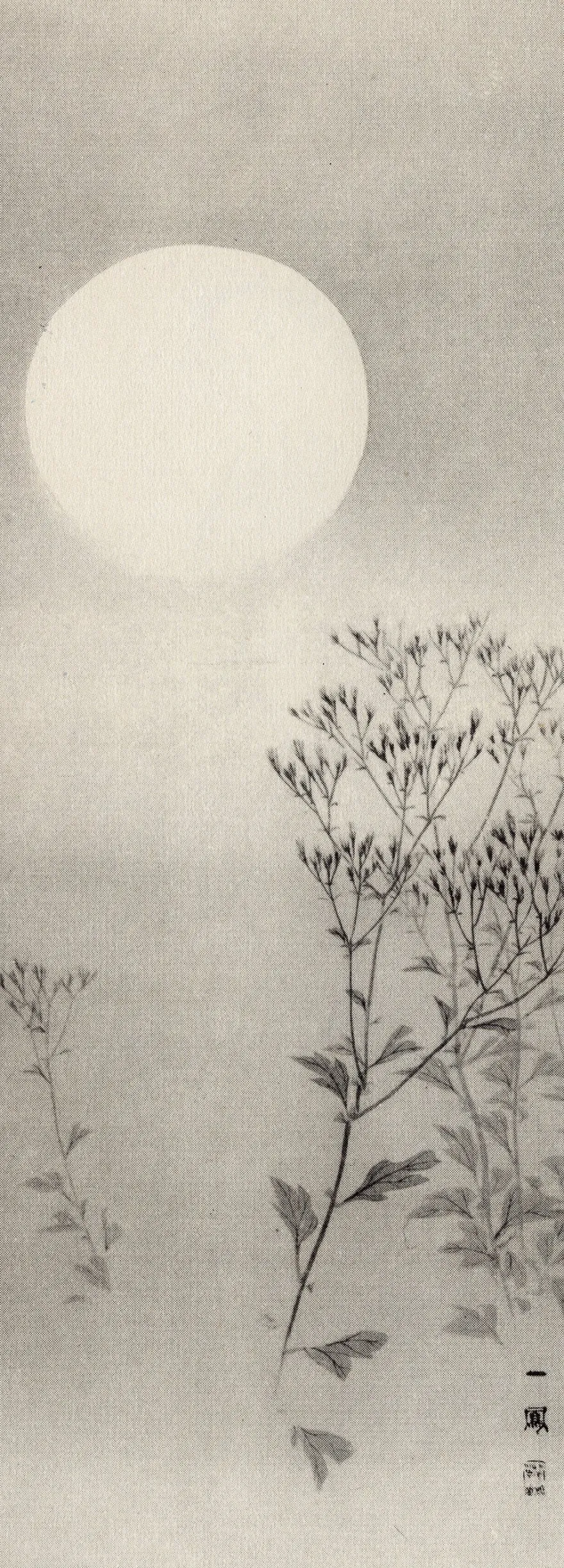 Autumn Grasses Under The Moon Kunstdruck Mori Ippo