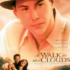 A Walk in the Clouds Poster