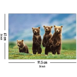 Bear Cubs Poster Bärenjungen