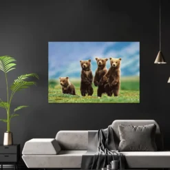 Bear Cubs Poster Bärenjungen