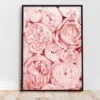 Blume Kunstdruck Din A4