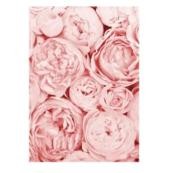 Blume Kunstdruck Din A4