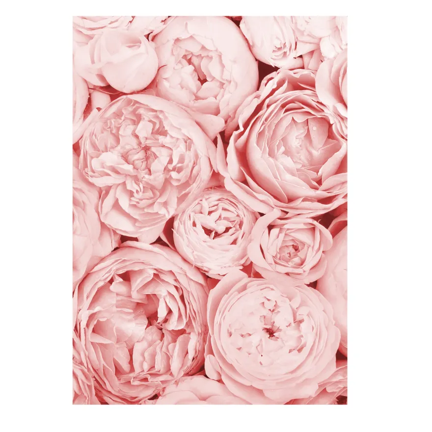 Blume Kunstdruck Din A4