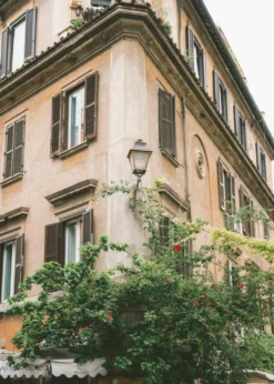 Botanical Trastevere Rome ||