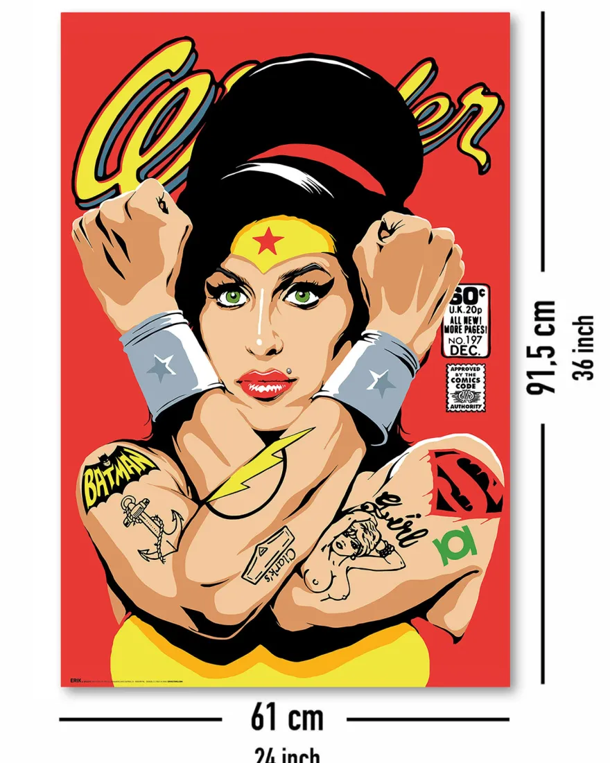 Butcher Billy Poster Rehab Wonder