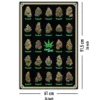 Cannabis Poster Best Buds Marihuana-Sorten