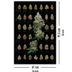Cannabis Poster Dank Nugs Marihuana-Sorten