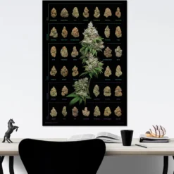 Cannabis Poster Dank Nugs Marihuana-Sorten
