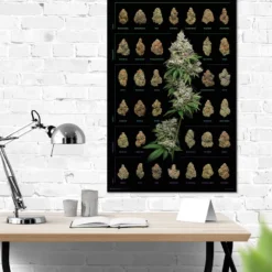 Cannabis Poster Dank Nugs Marihuana-Sorten