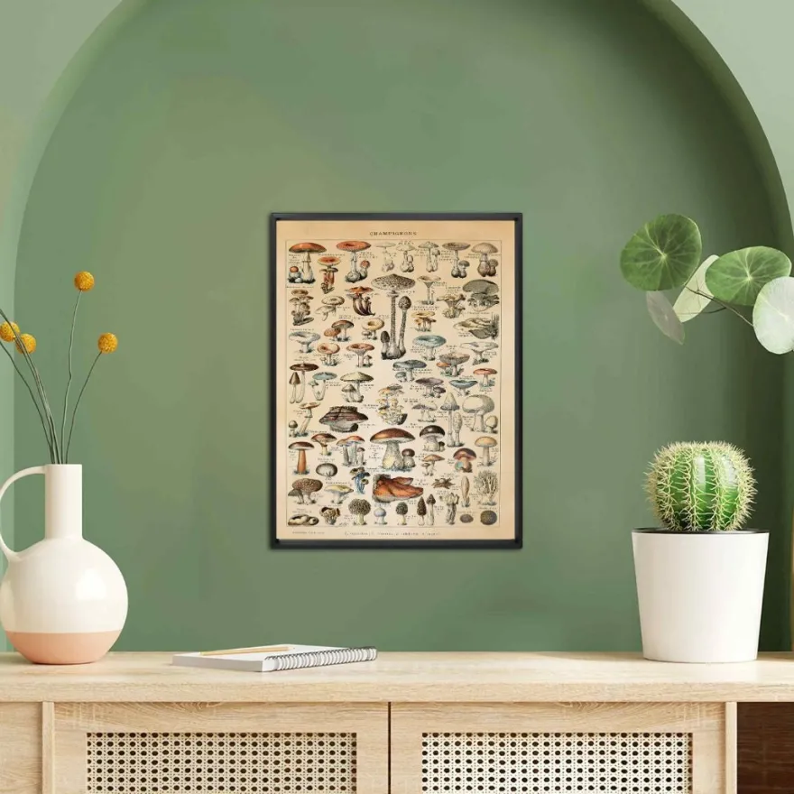Champignons Kunstdruck Adolphe Millot