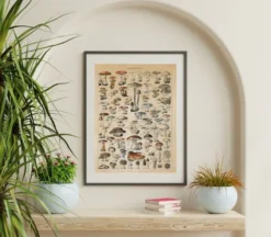 Champignons Kunstdruck Adolphe Millot