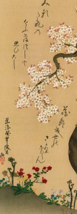 Cherry Blossom Kunstdruck Ogata Kenzan