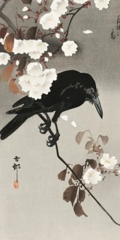 Crow And Cherry Blossom Kunstdruck | Ohara Koson | 20x40 cm