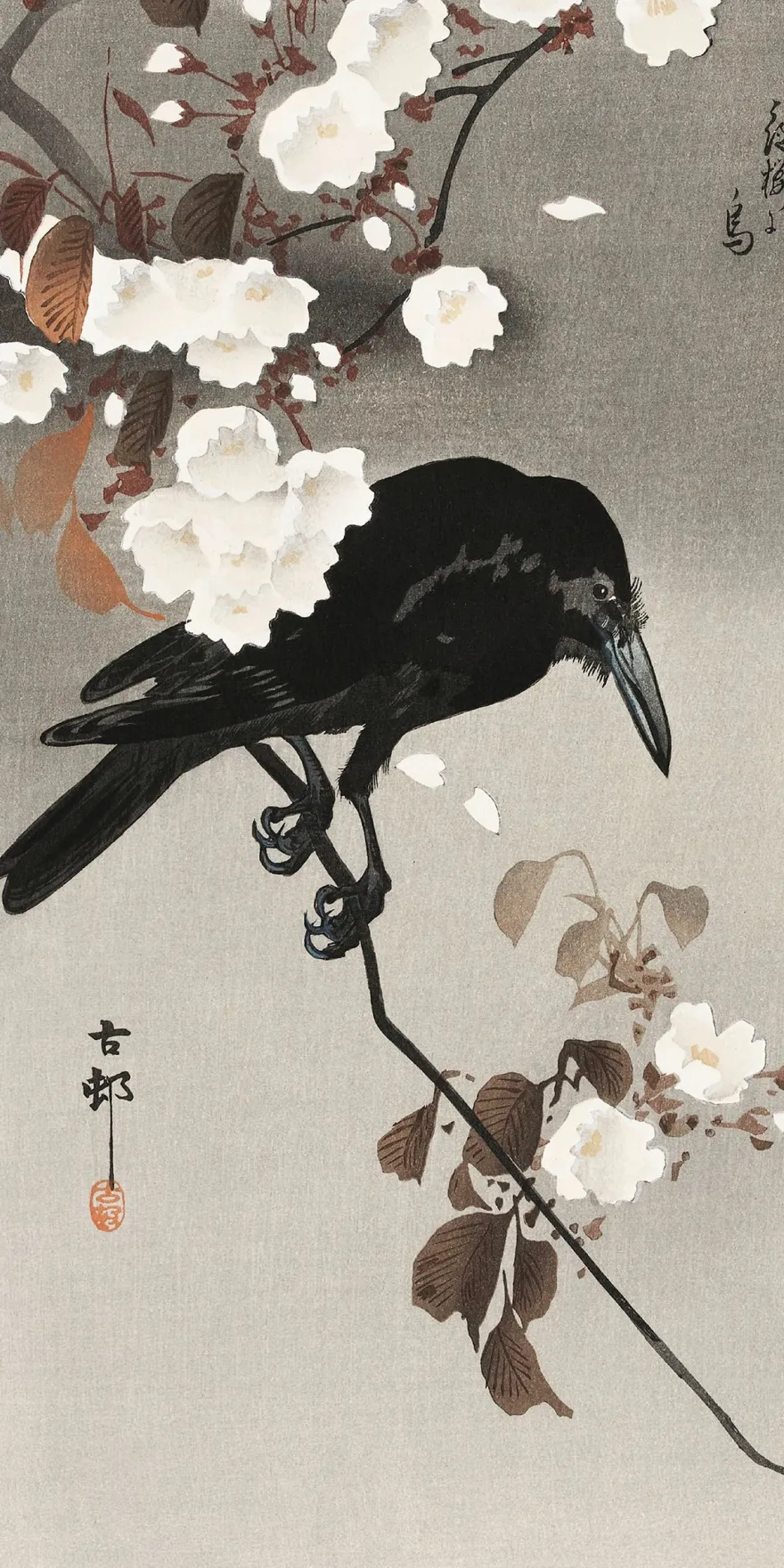 Crow And Cherry Blossom Kunstdruck | Ohara Koson | 20x40 cm