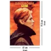 David Bowie Poster Low