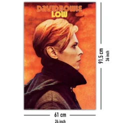 David Bowie Poster Low