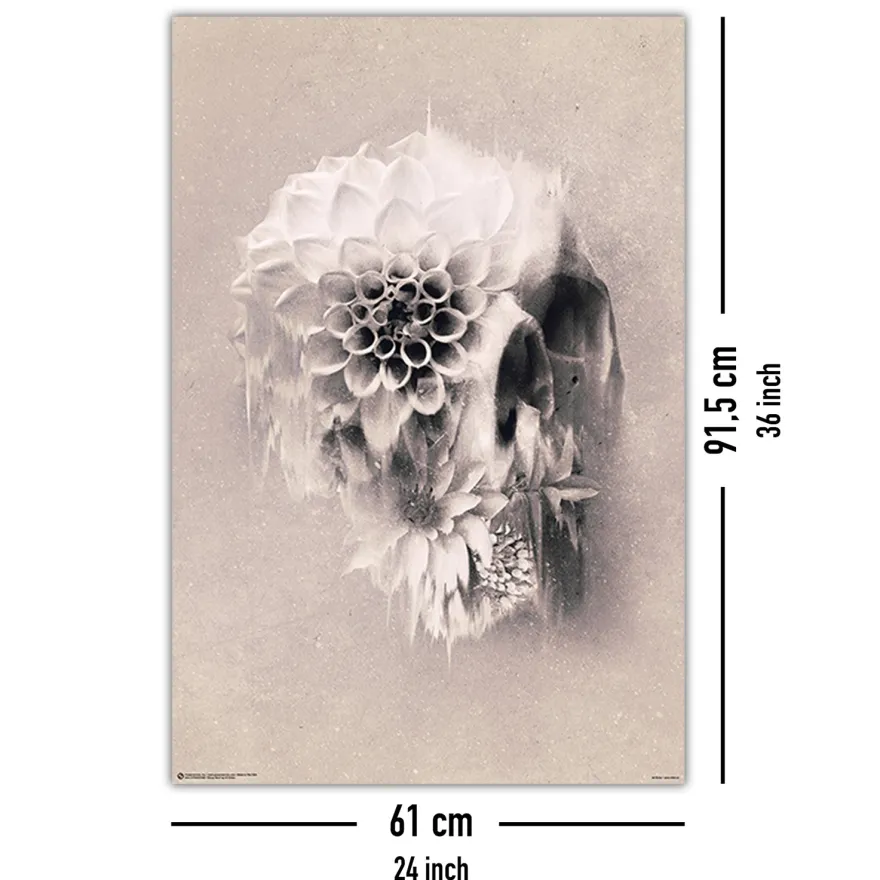 Decay Skull Poster Ali Gülec