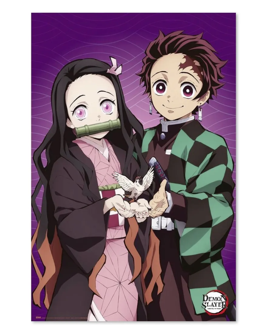 Demon Slayer Poster 2 The Hinokami Chronicles