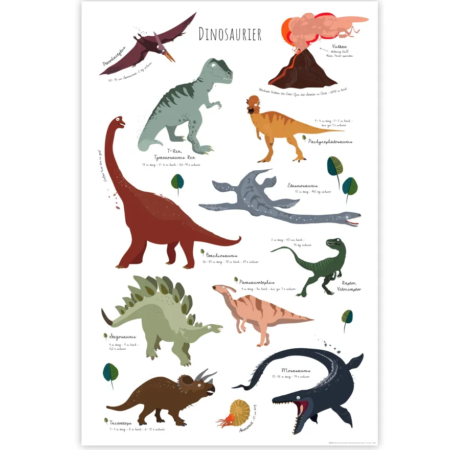 Dinosaurier Poster Lernposter 61 x 91,5 cm