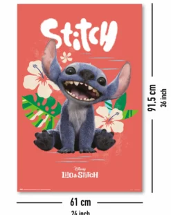Disney Lilo & Stitch Poster Live Action Movie