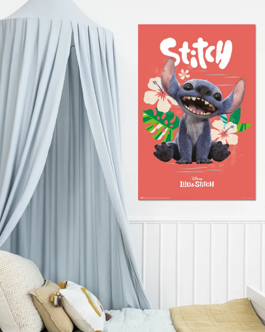 Disney Lilo & Stitch Poster Live Action Movie