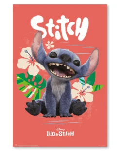 Disney Lilo & Stitch Poster Live Action Movie