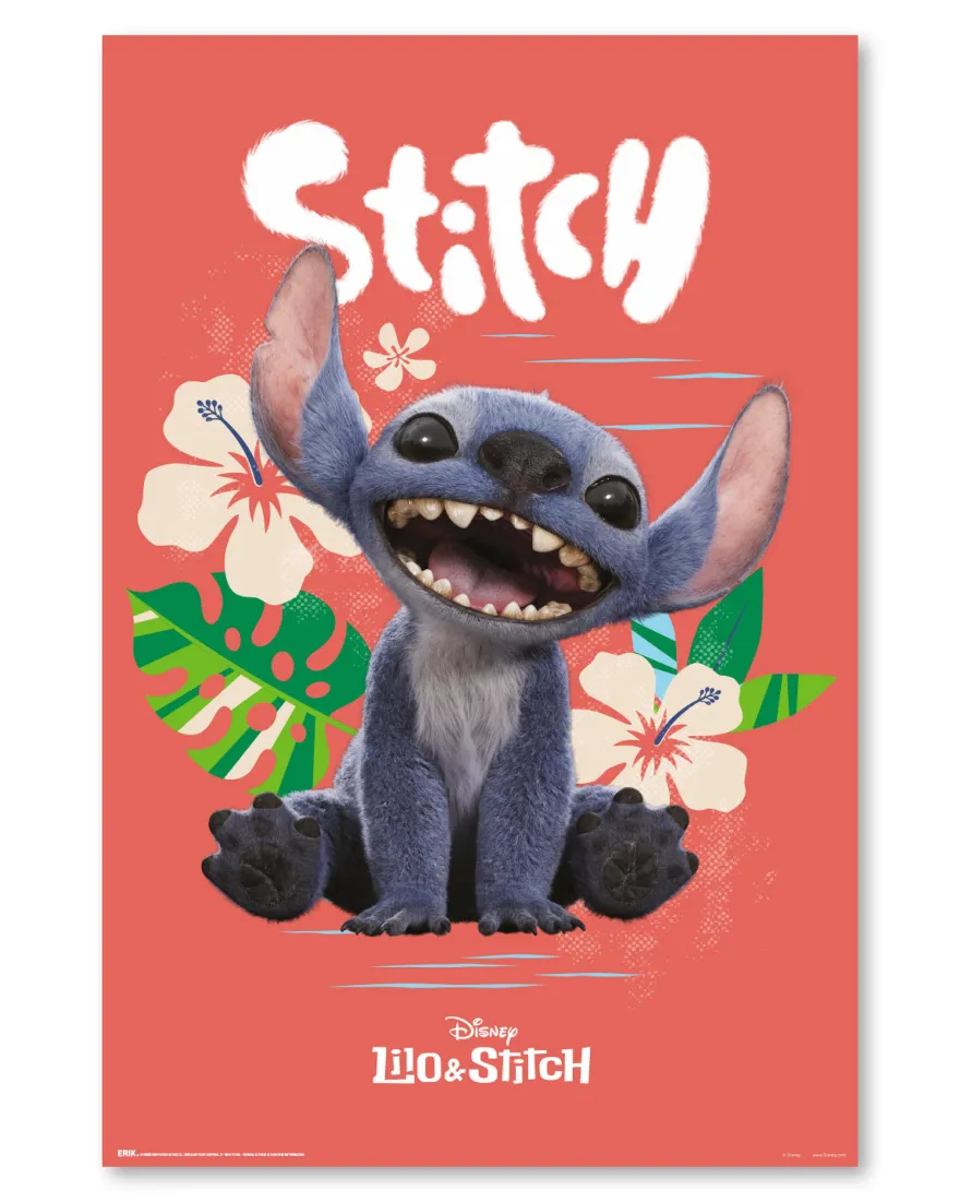 Disney Lilo & Stitch Poster Live Action Movie