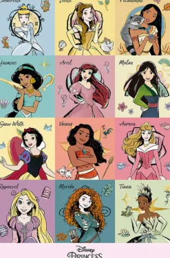 Disney Princess Poster Brush Strokes