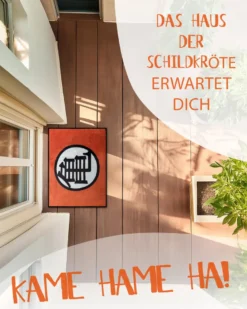 Dragon Ball Fußmatte Kame Symbol