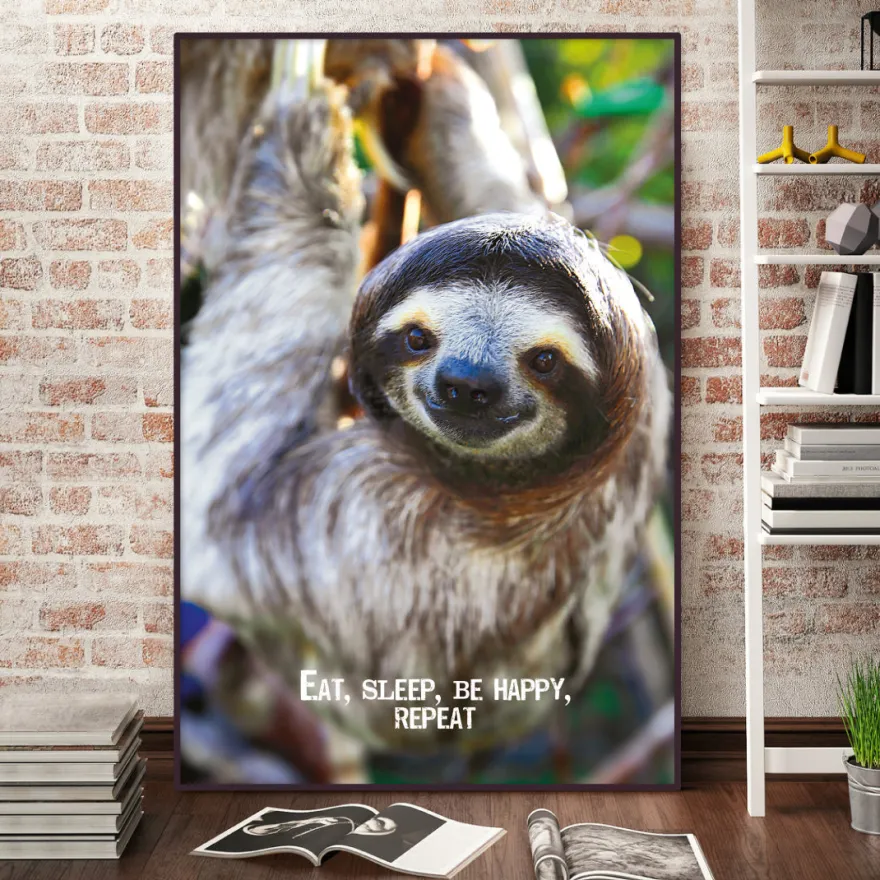 Eat, Sleep, Be Happy, Repeat Faultier Poster