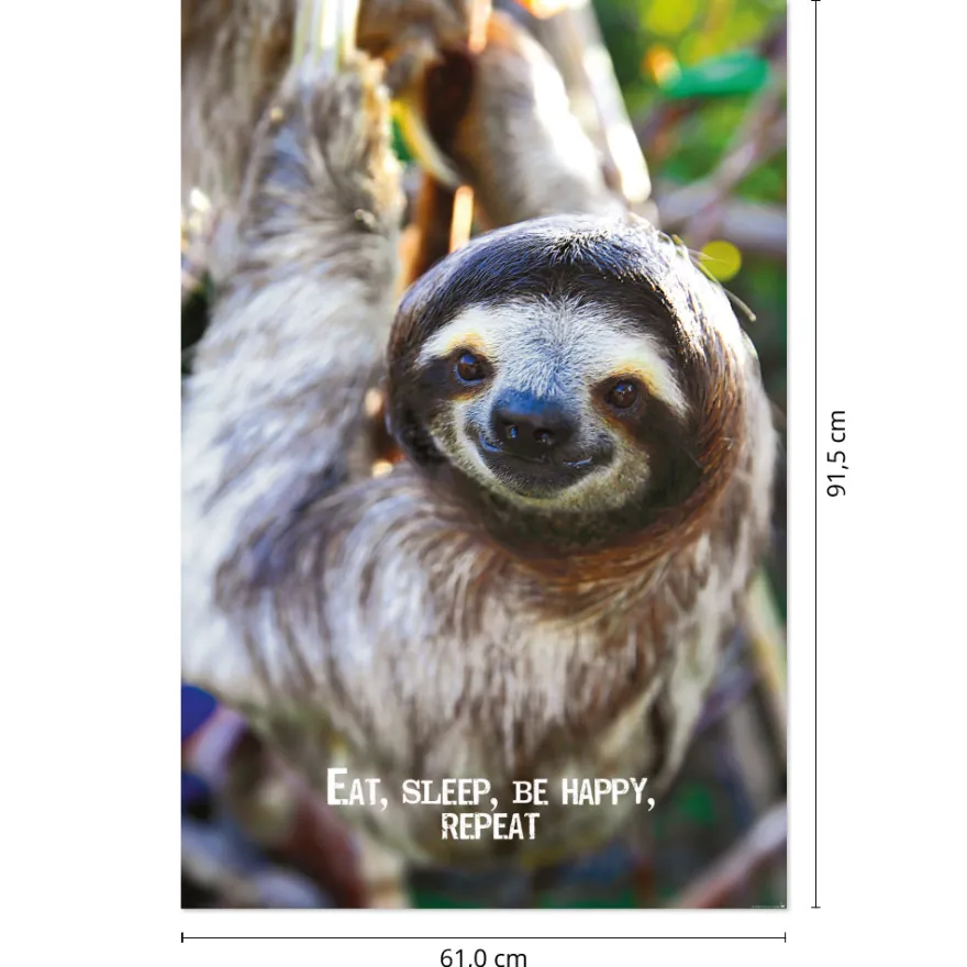 Eat, Sleep, Be Happy, Repeat Faultier Poster