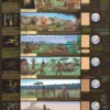 Entwicklungsgeschichte der Men schen Poster, deutsch DIN A1