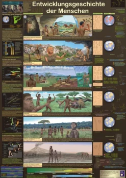 Entwicklungsgeschichte der Men schen Poster, deutsch DIN A1