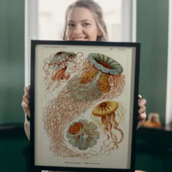 Ernst Haeckel Kunstdruck Discomedusae - Scheibenquallen