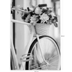 Fahrrad Kunstdruck Din A3