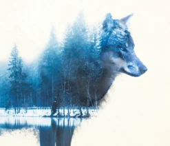 Forest Wolf Poster Madeleine