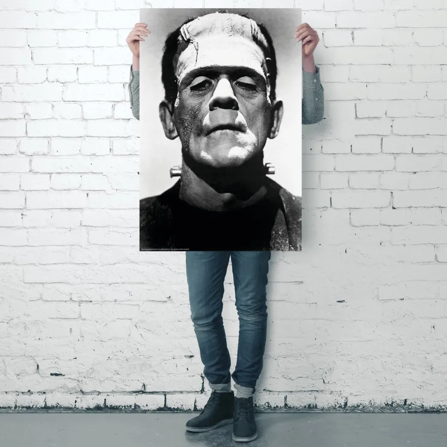 Frankenstein Poster Boris Karloff