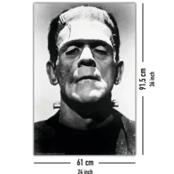 Frankenstein Poster Boris Karloff