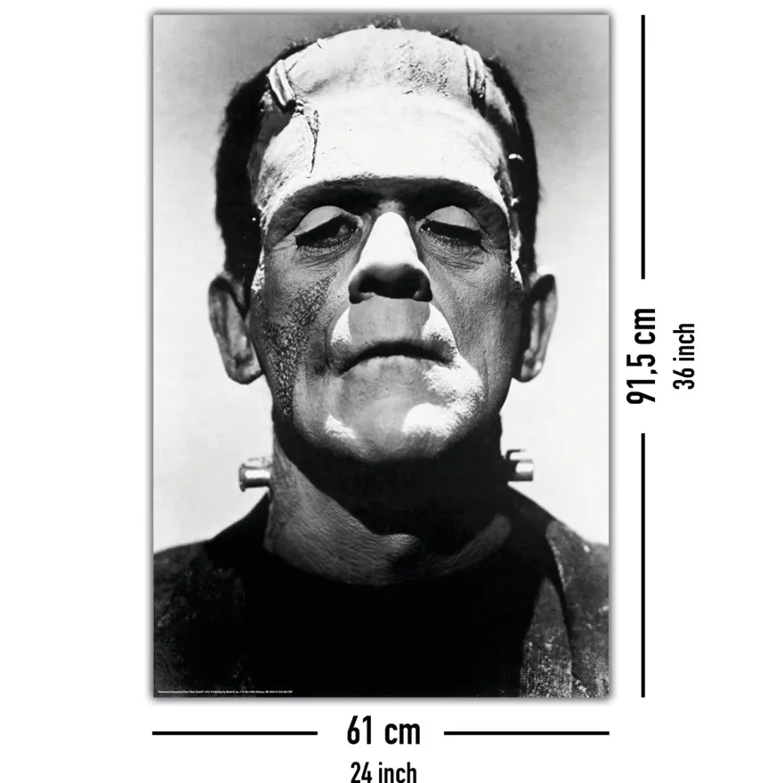 Frankenstein Poster Boris Karloff