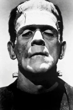 Frankenstein Poster Boris Karloff